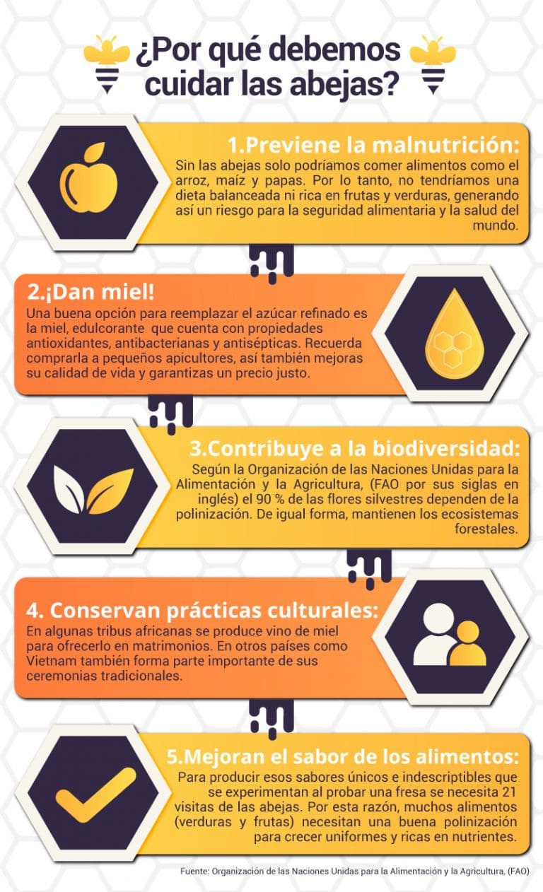 ¿por Qué Son Importantes Las Abejas Revista Compensar 