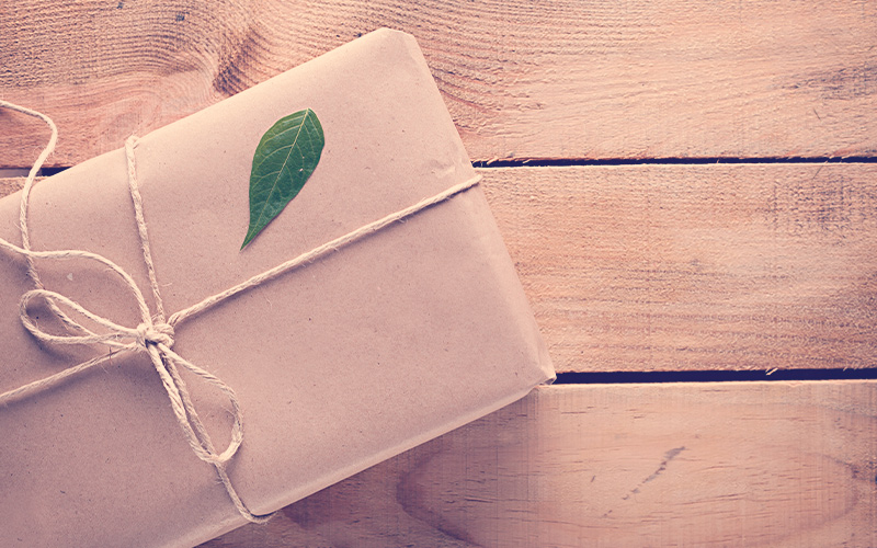 empaques ecológicos con papel kraft