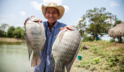 oferta de pescados