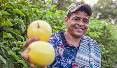 variedad de frutas