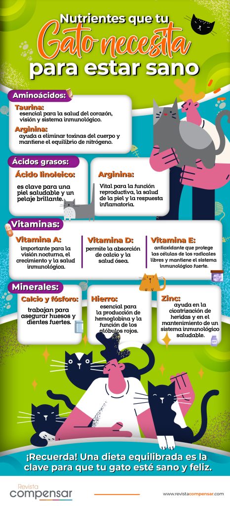 nutrientes que tu gato necesita para estar sano