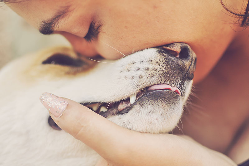 mujeres latinas adoran a perro mascota