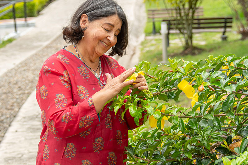 señora consintiendo unas matas