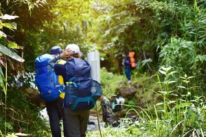 ecoturismo en la naturaleza