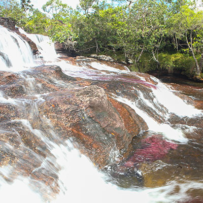 cano cristales colombia