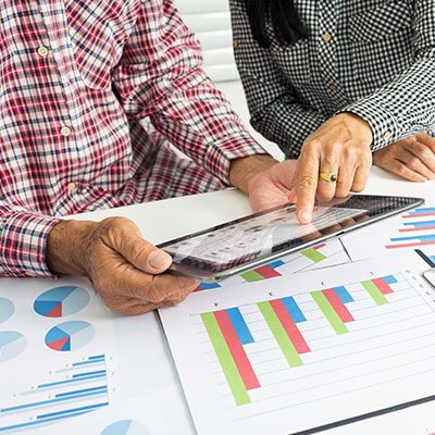 proyecciones empresariales